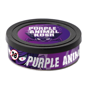 Purple Animal Kush Self Seal Tin